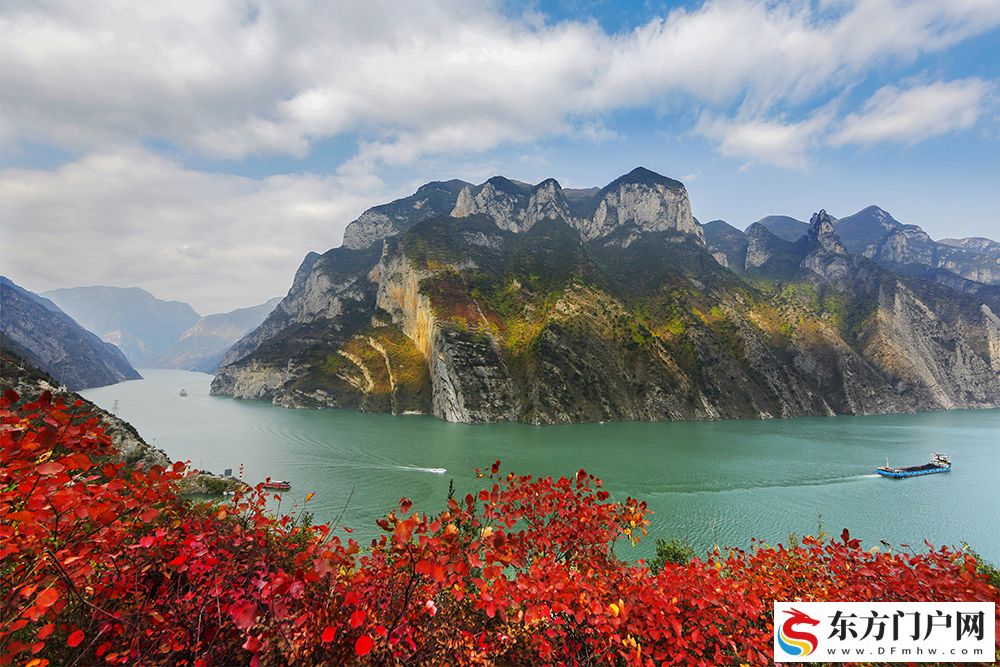 百万亩绚烂红叶向世界发出盛情之约 第十九届重庆长江三峡（巫山）国际红叶节开幕(图4)