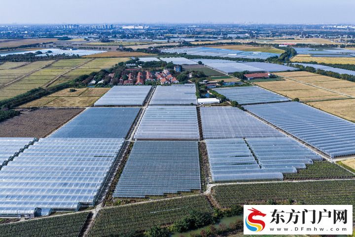 浙江深化新时代“千万工程” 绘就共同富裕新图景(图3)
