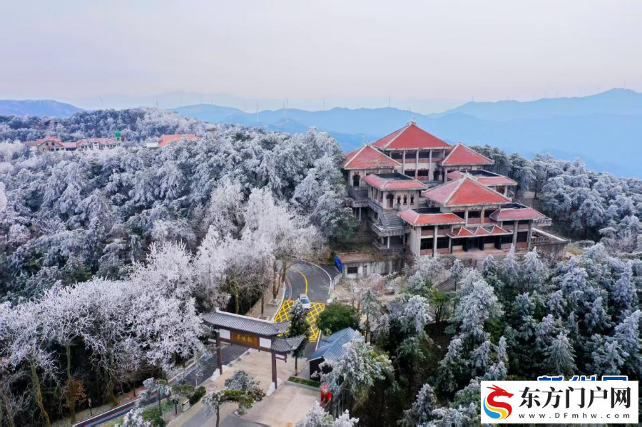 一场雪，让中原美成了这样！(图5)
