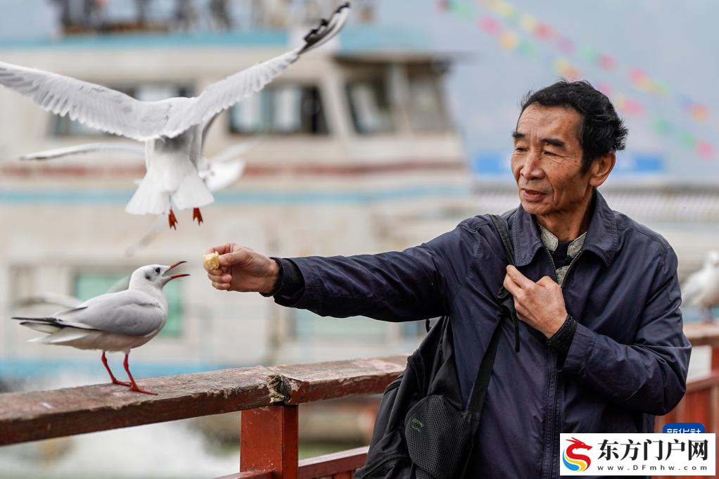 滇池：美景如画引客来(图4)