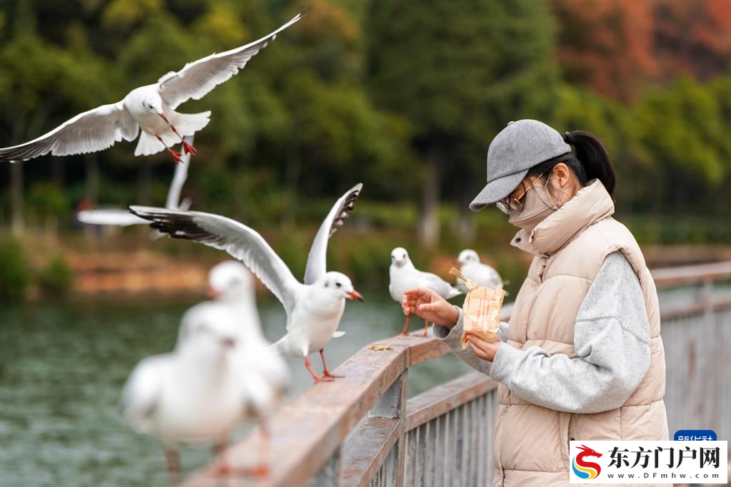 滇池：美景如画引客来(图7)