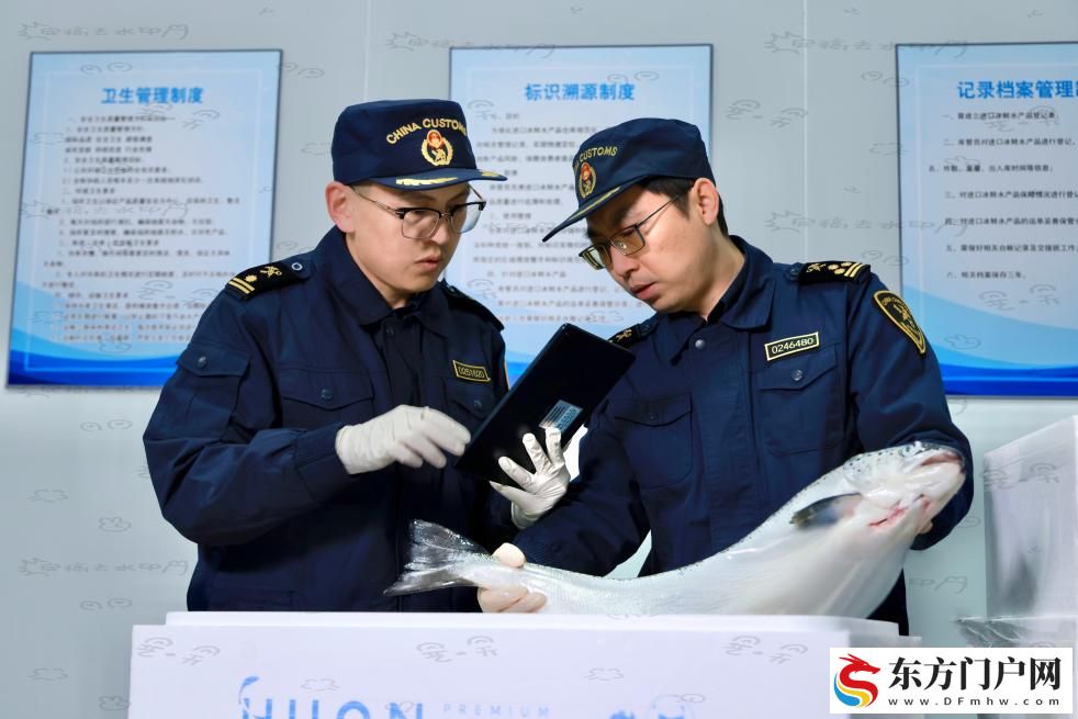 “生鲜产品绿色通道”高效畅通 300余吨三文鱼乘飞机从天津入关