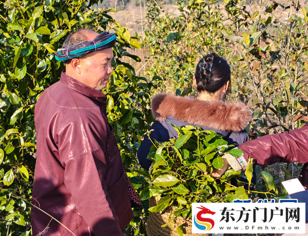 贵州从江瑶浴溯源路线正式发布 首发体验团共赴康养之旅(图2)