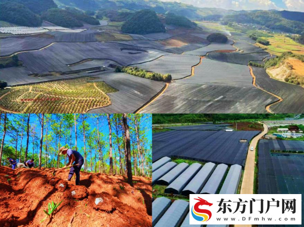 “云药”何以持久飘香——云南中医药产业高质量发展观察(图2)