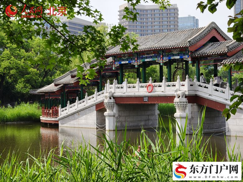大运河畔崛起活力之城(图3)
