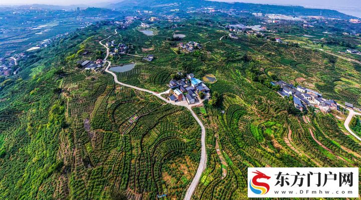 品读“长江要津之城”(图3)